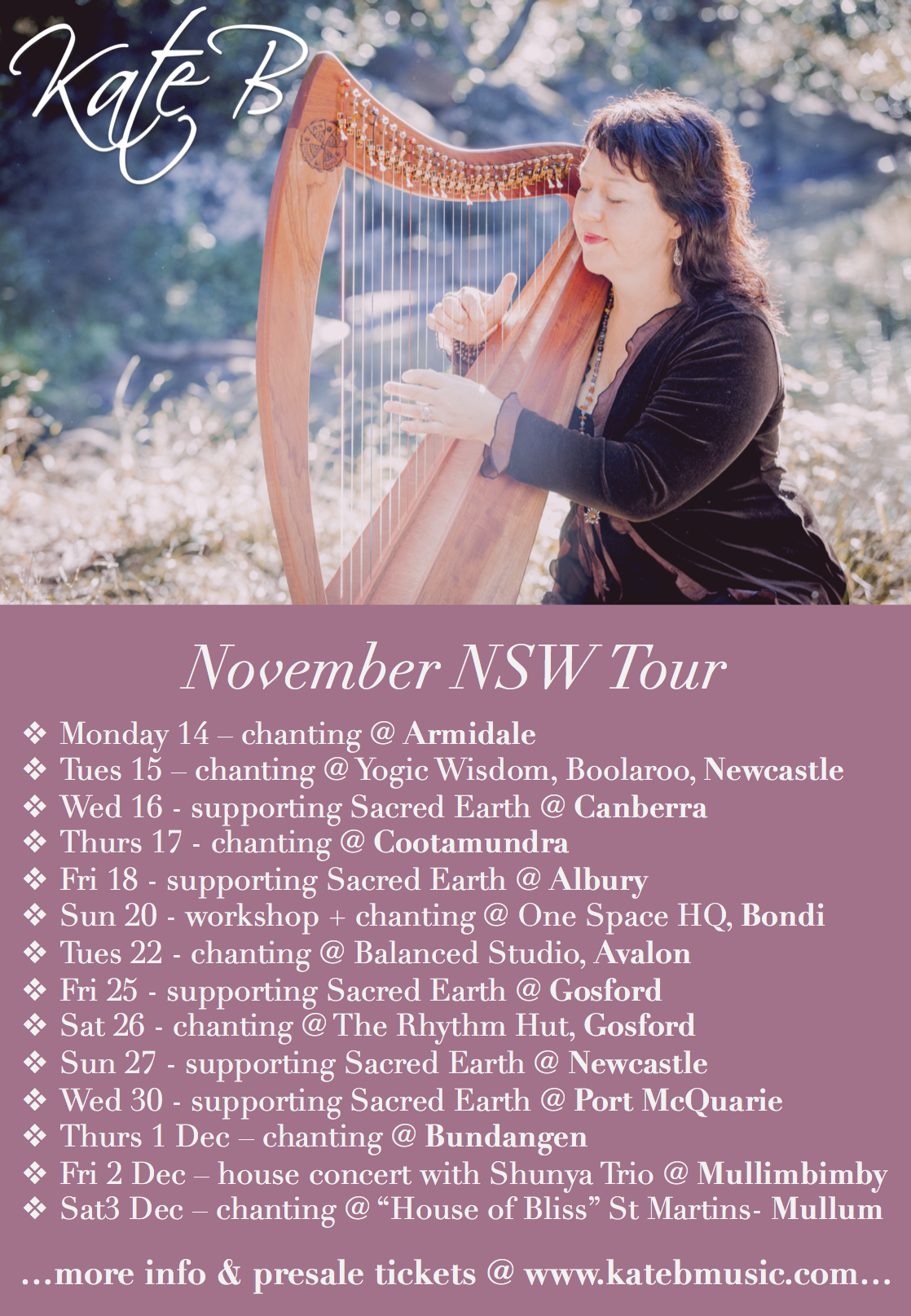 regional nsw tour poster
